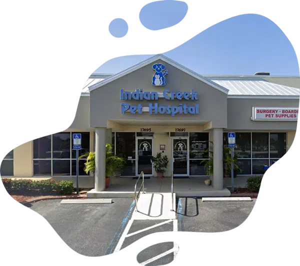 Contact information section with veterinary clinic details and location