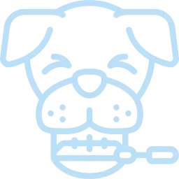Veterinary dental examination of dog's teeth and gums for oral health assessment